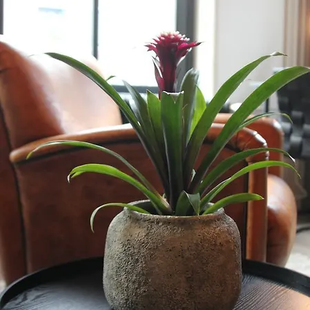 Alojamento de Acomodação e Pequeno-almoço Het Spoorhuis